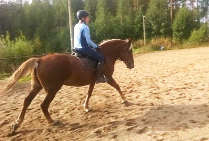 Laukata huristellaan vailla huolenhäivää…