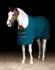 Fleeceloimi vihreä Horse Guard Layne