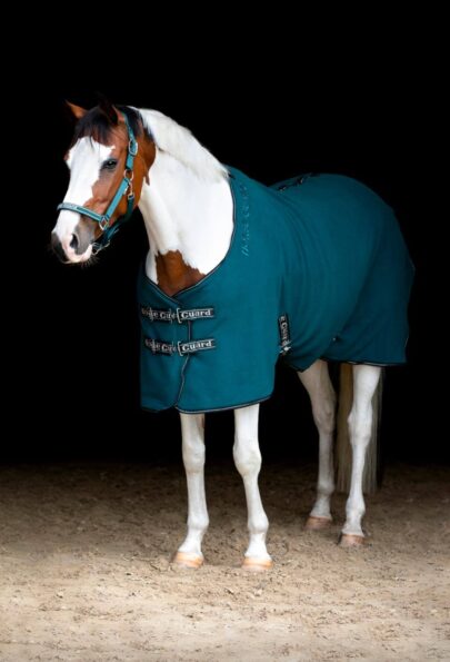 Fleeceloimi vihreä Horse Guard Layne