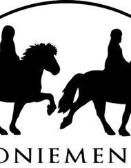 Kirjoniemi-lippis